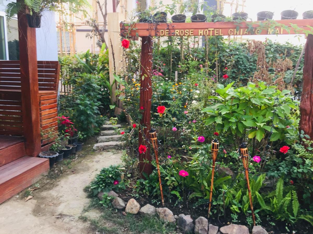 De Rose Hotel Chiang Mai — Photos 3